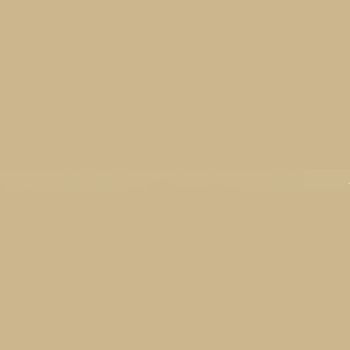 IM 145 - Light Metallic Bronze