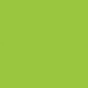IM 143 - Fluorescent Green