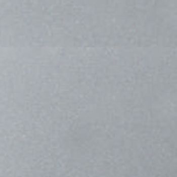 IM 103 - Champagne Silver